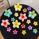 7pcs Minimalist Floral Hair Clip Set, Gradient Jelly Cute Clips, Large Non-Slip Scrunchie and Multifunctional Bangs Side Egg Lace Clips, Essential for Beach Vacation Swimming