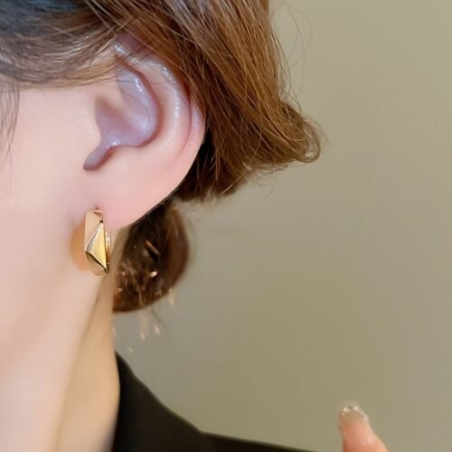 1 Pair Geometric Irregular Hoop Earrings, Elegant & Simple Style, Alloy with Stainless Steel Ear Needle, Versatile for Daily Wear & Banquets, All-Season Accessory for Women