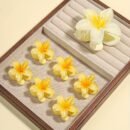 7pcs Minimalist Floral Hair Clip Set, Gradient Jelly Cute Clips, Large Non-Slip Scrunchie and Multifunctional Bangs Side Egg Lace Clips, Essential for Beach Vacation Swimming
