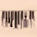 10pcs Professional Hair Styling Comb Set - Durable ABS Plastic, Versatile for All Hair Types, Includes Detangling, Teasing & Edge Control Combs