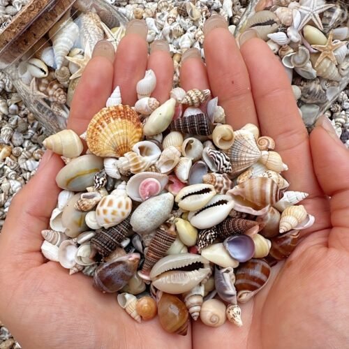 Handcrafted Wind Shell Scrub Mix - Colorful Seashell Decorative Bag for Aquariums, DIY Home Decor, Perfect Gift for Easter, Mother'S Day, Valentine'S Day, Aquarium Embellishment|Natural Seashell Decor|Handmade Quality, Seashell Gifts