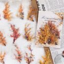 30-Pack Plant Floral Branch PET Decorative Stickers, Mixed Color Self-Adhesive Plastic Craft Embellishments with Crystal Accents, Glossy Finish, Irregular Shapes for Scrapbooking and Journaling