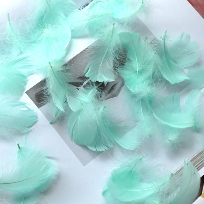 100pcs/pack, Feather Gift Box Filling, Gift Box Packaging Filling, Christmas, Wedding, Birthday, Bride Engagement Craft Gift Box Bag Filling, Decorative Gift Packaging, Decorative Jewelry DIY Feather Raw Materials - Image 15