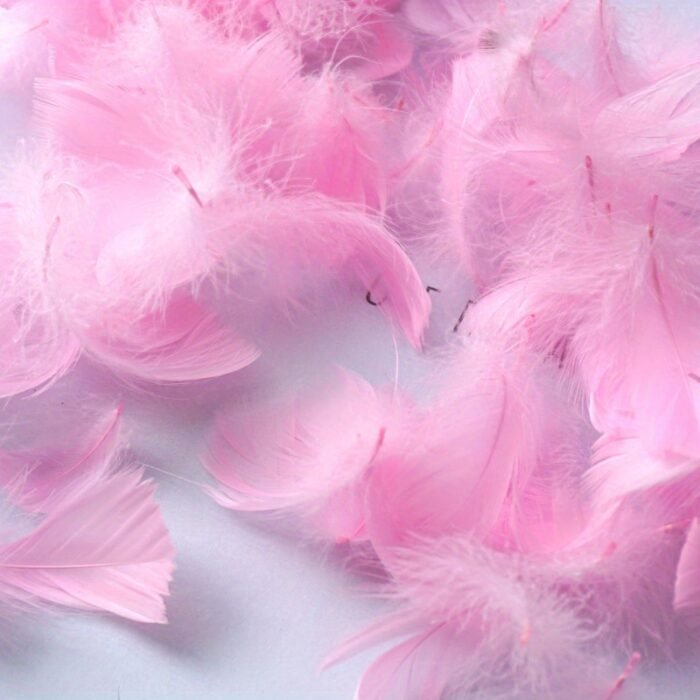 100pcs/pack, Feather Gift Box Filling, Gift Box Packaging Filling, Christmas, Wedding, Birthday, Bride Engagement Craft Gift Box Bag Filling, Decorative Gift Packaging, Decorative Jewelry DIY Feather Raw Materials - Image 11
