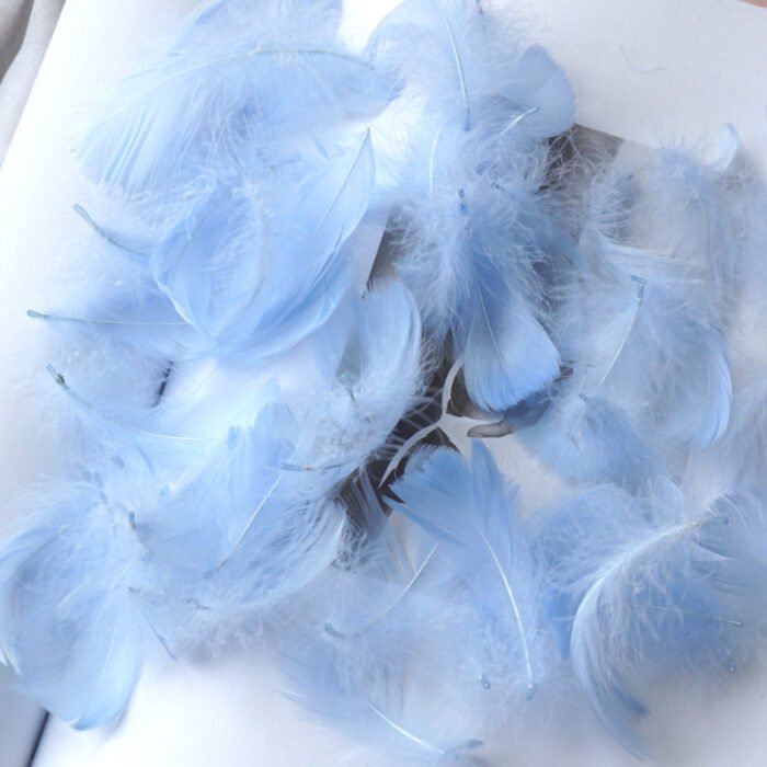 100pcs/pack, Feather Gift Box Filling, Gift Box Packaging Filling, Christmas, Wedding, Birthday, Bride Engagement Craft Gift Box Bag Filling, Decorative Gift Packaging, Decorative Jewelry DIY Feather Raw Materials - Image 18
