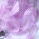 100pcs/pack, Feather Gift Box Filling, Gift Box Packaging Filling, Christmas, Wedding, Birthday, Bride Engagement Craft Gift Box Bag Filling, Decorative Gift Packaging, Decorative Jewelry DIY Feather Raw Materials