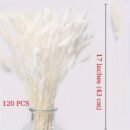 120pcs White Rabbit'S Tail Dry Grass, 17" Lagurus Ovatus Bouquet for Bohemian Floral Arrangements, Home, Kitchen, Wedding Decor, Indoor Beauty Room Decor - Rattan Material, Perfect for Christmas, Halloween, Easter, Hanukkah, Valentine'S Da