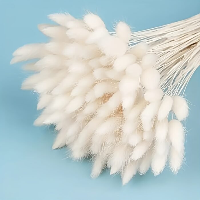 120pcs White Rabbit'S Tail Dry Grass, 17" Lagurus Ovatus Bouquet for Bohemian Floral Arrangements, Home, Kitchen, Wedding Decor, Indoor Beauty Room Decor - Rattan Material, Perfect for Christmas, Halloween, Easter, Hanukkah, Valentine'S Da - Image 4
