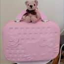 14 Inch Sandwich Cat Design Multifunctional Trolley Luggage Compartment - Grease-Resistant Makeup Travel Case with 4 Wheels, Pink Suitcase for Cosmetics Storage, Unisex for Men & Women, Luggage for Travel, Playful Aesthetic, Easygrip Handle